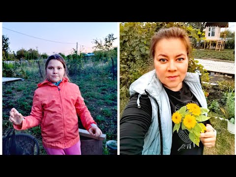 Видео: Влог: Красим , вырубаем поросли.