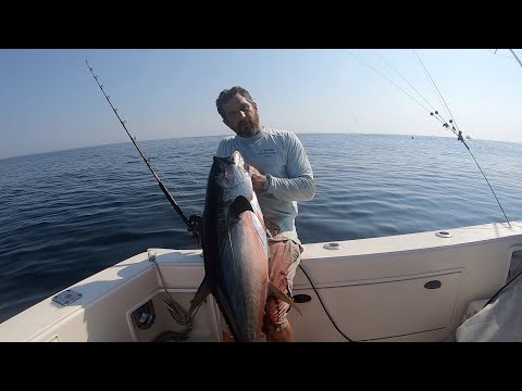 Видео: БЕЗУМНЫЙ ДЕНЬ ЛОВЛИ ЖЕЛТОПЕРОГО ТУНЦА