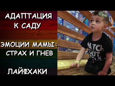 Видео: Адаптация к саду/ЭМОЦИИ мамы: СТРАХ и ГНЕВ/Агрессия ребенка/ЛАЙФХАКИ