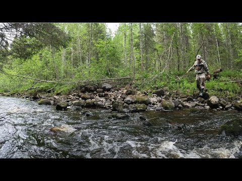 Видео: Душевный отдых и ловля хариуса в родных сердцу местах.