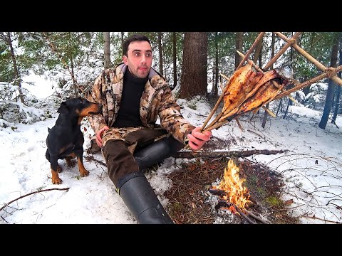Видео: Выживание 24-Часа в горах в Карпатах в Каменном домике