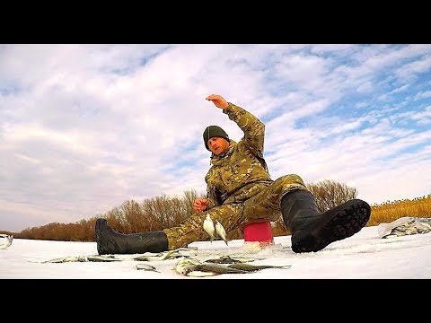 Видео: Зимняя рыбалка. Бешеный клёв на тесто. Глухозимье? Нет! Наловил ведро рыбы!