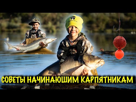 Видео: Рыбалка. Трофейный поводок для КРУПНОЙ РЫБЫ . Ловля карпа . Русская рыбалка 2025