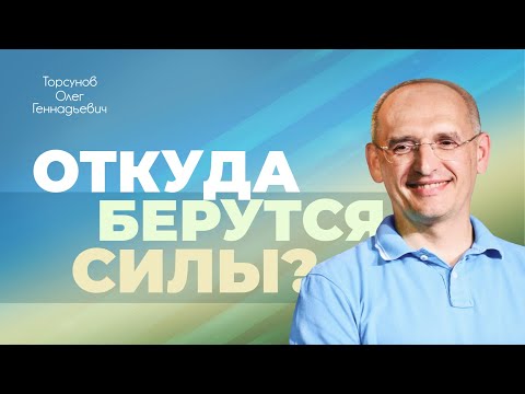Видео: Психическая структура человека (Торсунов О. Г.)