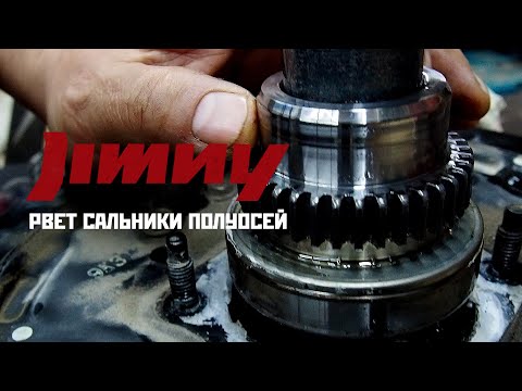 Видео: Самая большая проблема маленького авто. САЛЬНИКИ Suzuki Jimny текли ВСЮ ЗИМУ. Выясняем почему.