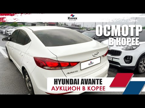 Видео: Прошлись по площадке в Корее.Аукцион в Корее.Осмотр Hyundai Avante Ad для клиента