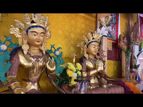 Видео: Дөрвөн үнэний сургаал Зөв амьдрах ухаан 2-р хэсэг