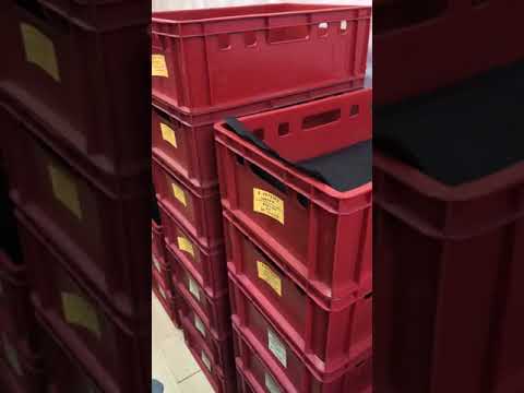 Видео: Кормление червя.