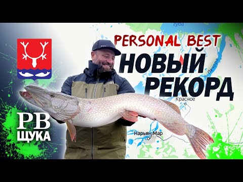 Видео: КРУПНАЯ ЩУКА, БЕШЕНЫЙ КЛЁВ ОКУНЯ. РЫБАЛКА В ЗАПОЛЯРЬЕ!