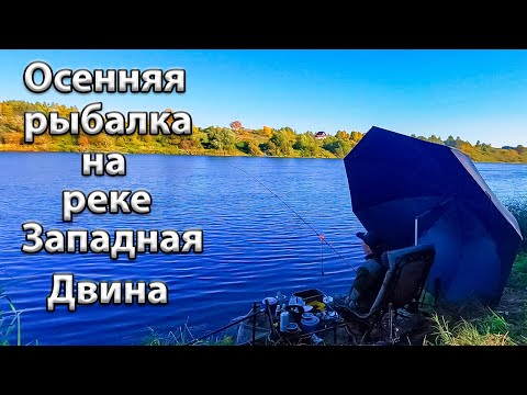 Видео: Осенняя рыбалка на реке Западная Двина.