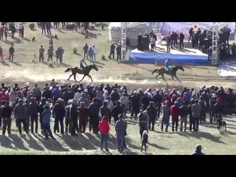 Видео: Жорго салыш, Торгой баатырдын 300 жыл мааракеси, Бышты жорго