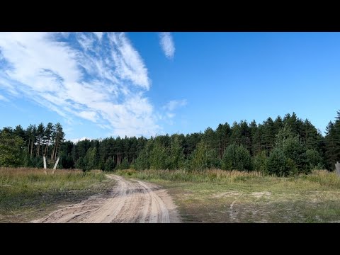 Видео: Сява. Нижегородская область. Август 2024