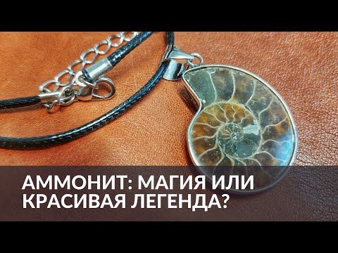 Видео: Аммонит: магия или красивая легенда?