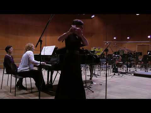 Видео: Закрытие Флейтового Фестиваля Должикова 25.11.17