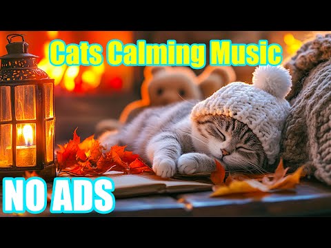 Видео: 12 часов музыки для кошек🐾Успокаивающая музыка для кошек🐾Музыка, которая поможет кошкам заснуть за