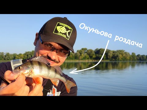 Видео: НАОКУНЯЧИЛИСЬ досхочу. Дуже ЗЛІ КЛЮВАННЯ окуня в кадрі. Стрітфішинг в Києві