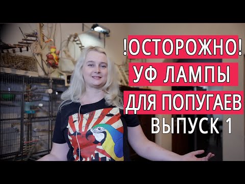 Видео: УФ ЛАМПЫ ДЛЯ ПОПУГАЕВ Часть 1