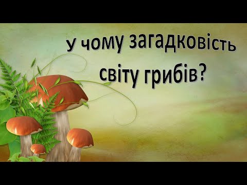 Видео: Урок 79. Гриби.   У чому загадковість світу грибів? Я досліджую світ 3 клас.