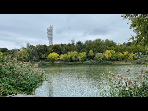 Видео: Погулять на Озерки 30 сентября