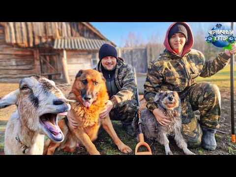 Видео: Весь новый год хотим наслаждаться деревенской жизнью. Берём от хутора всё и получаем удовольствие.