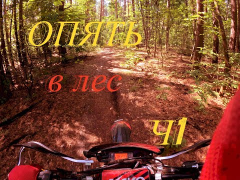 Видео: Спринт по песку и лесу! Эндуро-прохват на выносливость. Часть 1.