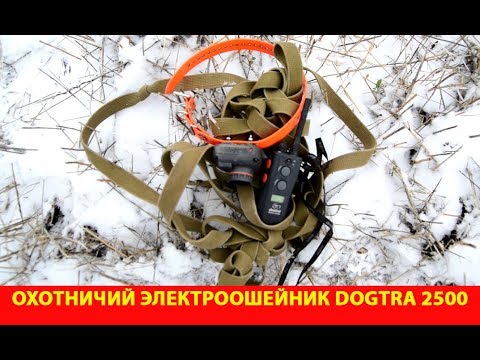 Видео: Обзор охотничьего электроошейника Dogtra 2500 T&B