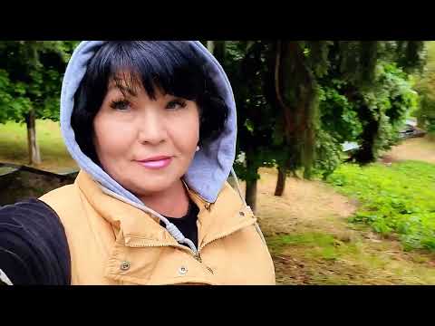 Видео: Отдых за копейки 🤞 дом отдыха Солнечный/Абхазия, сами не верим 🫣