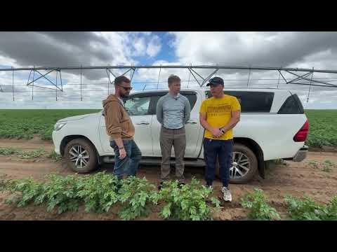 Видео: 🎥 Картофельный энтузиаст в Казахстане — ТОО «Актогай Агро», село Актогай | Первая остановка