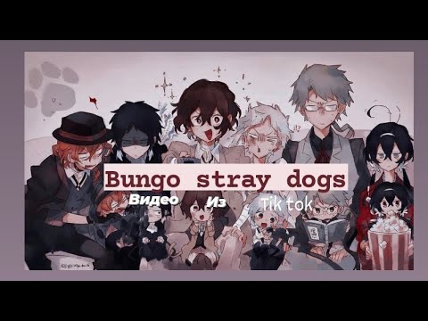 Видео: Подборка видео из тик ток ||Bungo stray dogs|| ч.о.