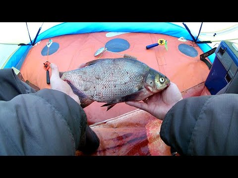 Видео: ЗИМНЯЯ РЫБАЛКА🎣 С НОЧЕВКОЙ В ПАЛАТКЕ НА ЛЕЩА 2022.|||ЯУЗСКОЕ ВОДОХРАНИЛИЩЕ-ПУДЫШИ|||