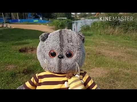 Видео: Басик в парке в Щёлково.