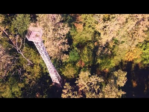 Видео: Пожежна каланча, сторожева вежа в Пуща Водиця. Відео з коптера