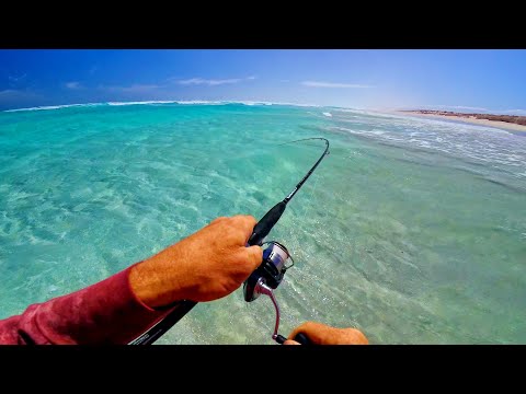 Видео: Рыбалка на пляже Южного побережья 5.0