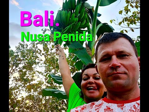 Видео: #Сколько стоит отдых на Бали? #Bali 2024 / субтитры #индонезия #monkey #Nusa Penida