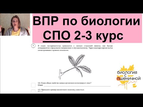 Видео: ВПР СПО по био 2+ курс. Разбираем демо