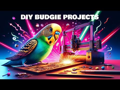 Видео: Что я хотел бы знать перед покупкой лазерного гравера Longer Ray5 20 Вт