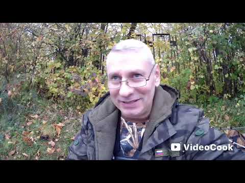Видео: Октябрьская рыбалка, и поклевки на опарыша. 