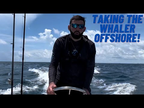 Видео: ВПЕРВЫЕ ВЫХОДИМ В БЛИЖНЮЮ ВОДУ НА МОЕМ 13-ФУТОВОМ КИТОБЕЗЬЯНСКОМ СУДНЕ BOSTON И НЕМНОГО РЫБАЧИМ!