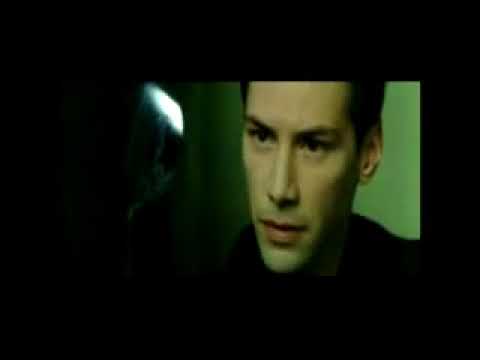 Видео: Квантовая физика и бессознательное. часть 1