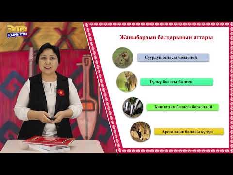 Видео: Кыргыз тили //Тема; "Окшоштуктар"