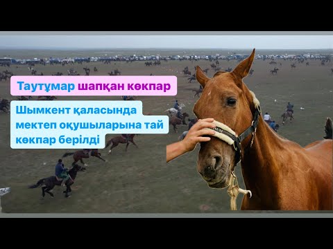 Видео: Шымкент қаласы Нұрмұхамед баламыздың тай көкпары. Мектеп оқушыларына арналған тай көкпары