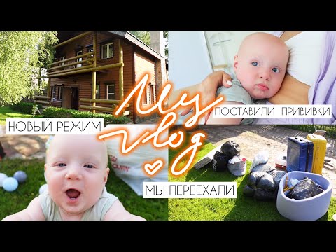 Видео: Долгожданный переезд за город, прививки и новый режим Германа