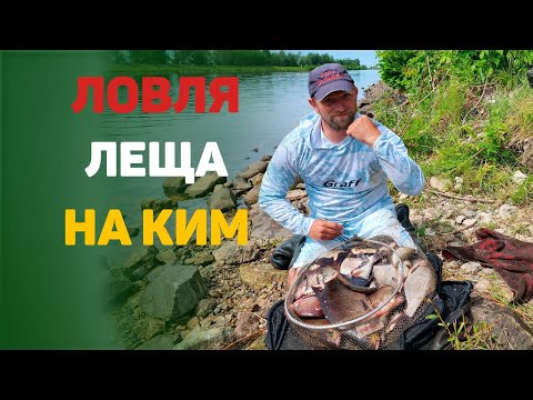 Видео: Ловля леща на КиМ