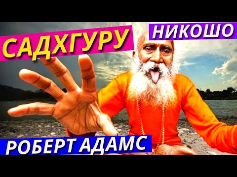 Видео: Как Найти Настоящего «Гуру» (Духовного Учителя) и Отличить от Обманщика. Сатсанги Роберта Адамса 6
