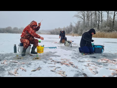 Видео: Зимова Рибалка 2023-2024. Сезон Відкрили Файно