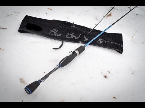 Видео: Обзор спининнга Favorite Blue Bird 4-14g