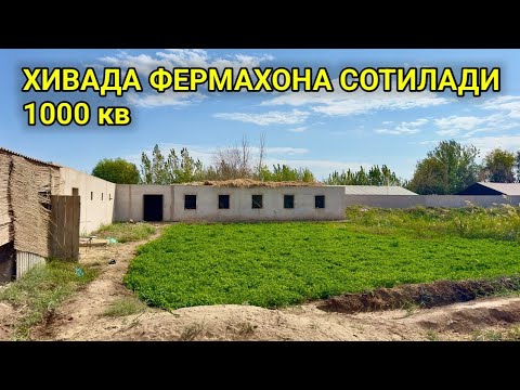 Видео: ФЕРМАХОНА СОТИЛАДИ ХИВАДА. Мол, қўй-қўчқор, товуқ, боқишга мўлжалланган  6-октября 2024 г.