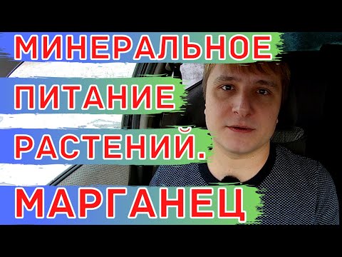 Видео: Недостаток марганца у растений. Удобрение сульфат марганца (марганцевый купорос).
