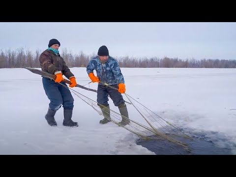 Видео: Как живут и рыбачат обские ханты. Часть 2 | С полем! Рыбацкая вахта.