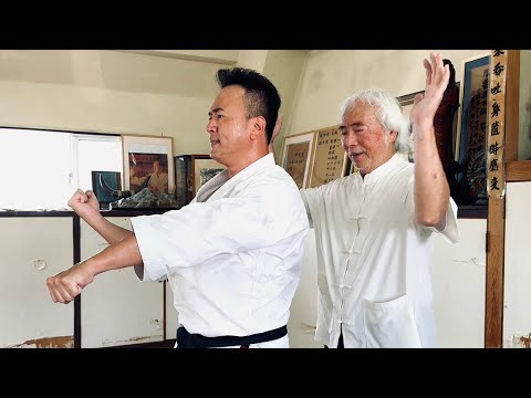 Видео: 81-летний мастер каратэ раскрывает секреты «движущегося дзен» Санчин!